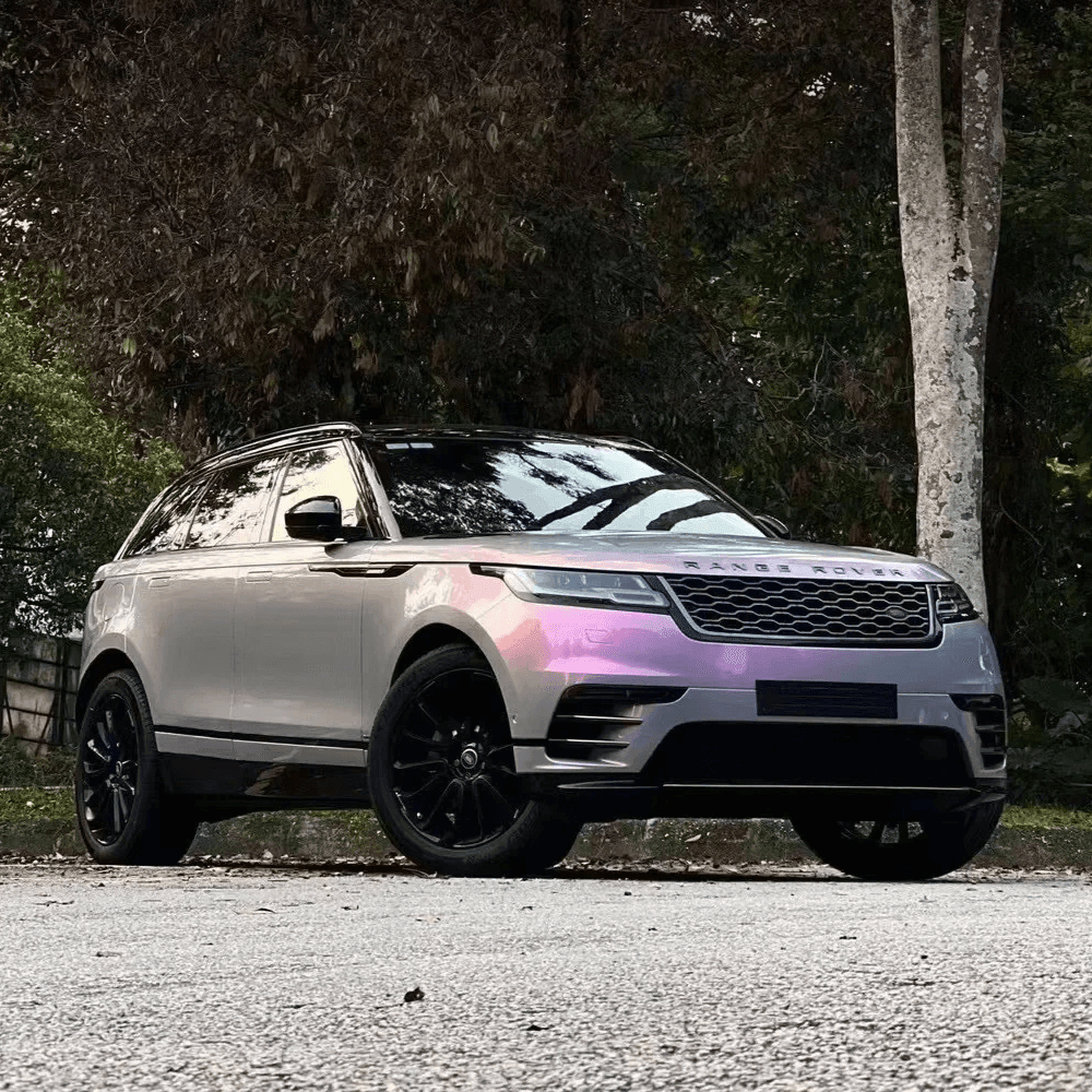 gray pink chameleon wrap