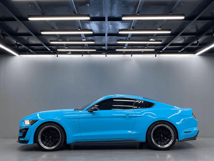 Glossy Sky Blue Mustang Wrap