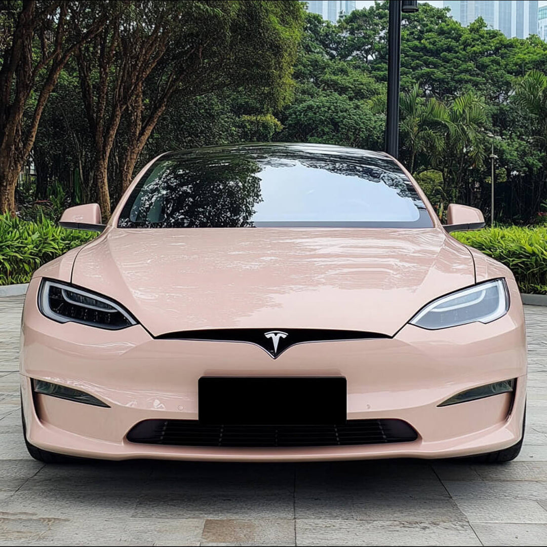 Tesla Shell Pink Color PPF