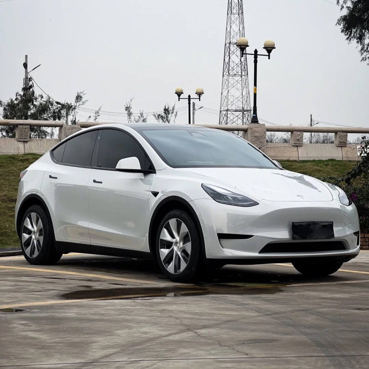 Tesla Silver Greige Color PPF