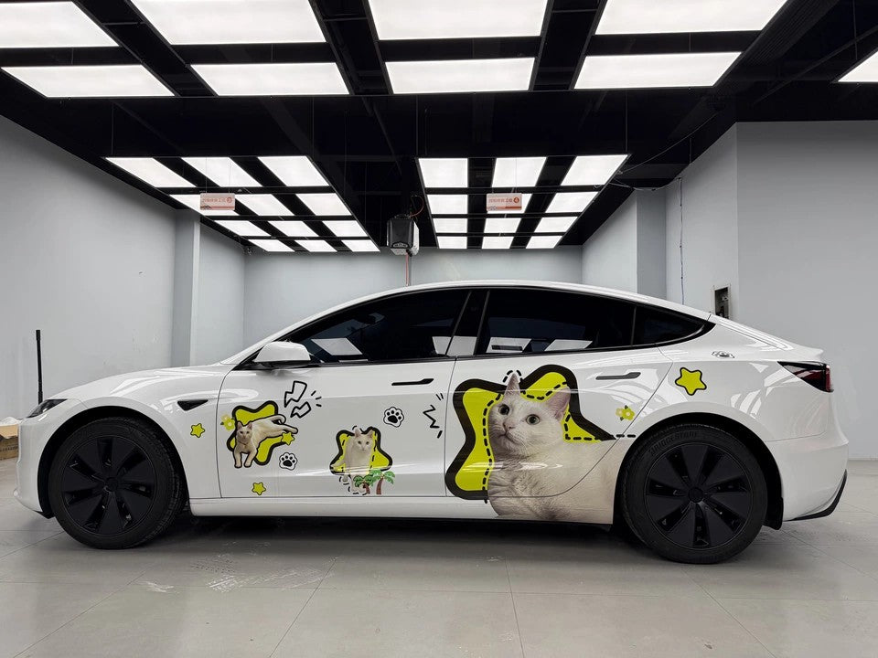 custom cat car sticker