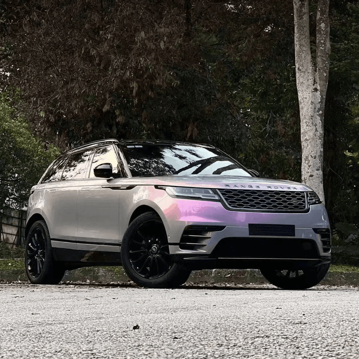 gray pink chameleon wrap