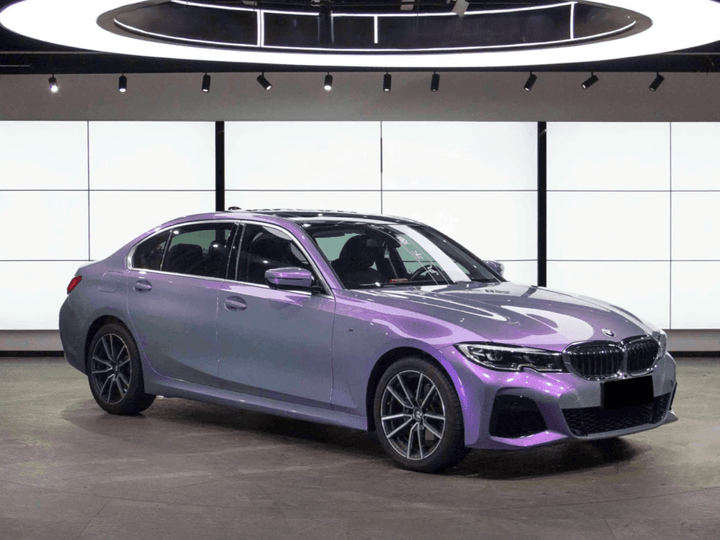 gray purple chameleon wrap