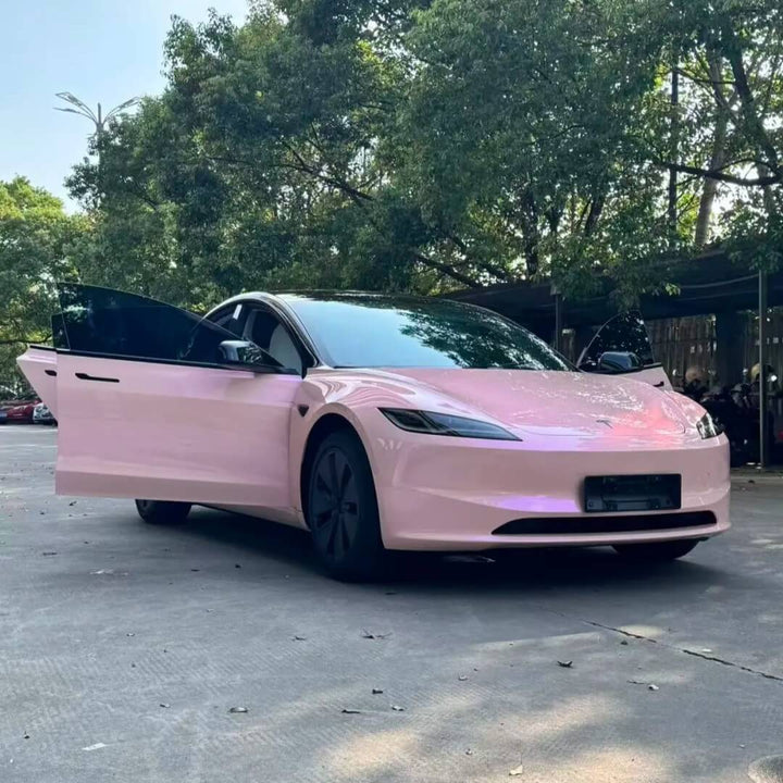 pink chameleon wrap