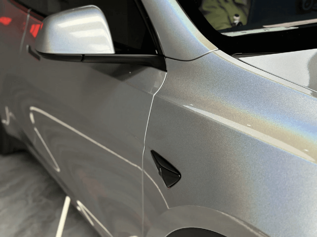 silver chameleon car wrap