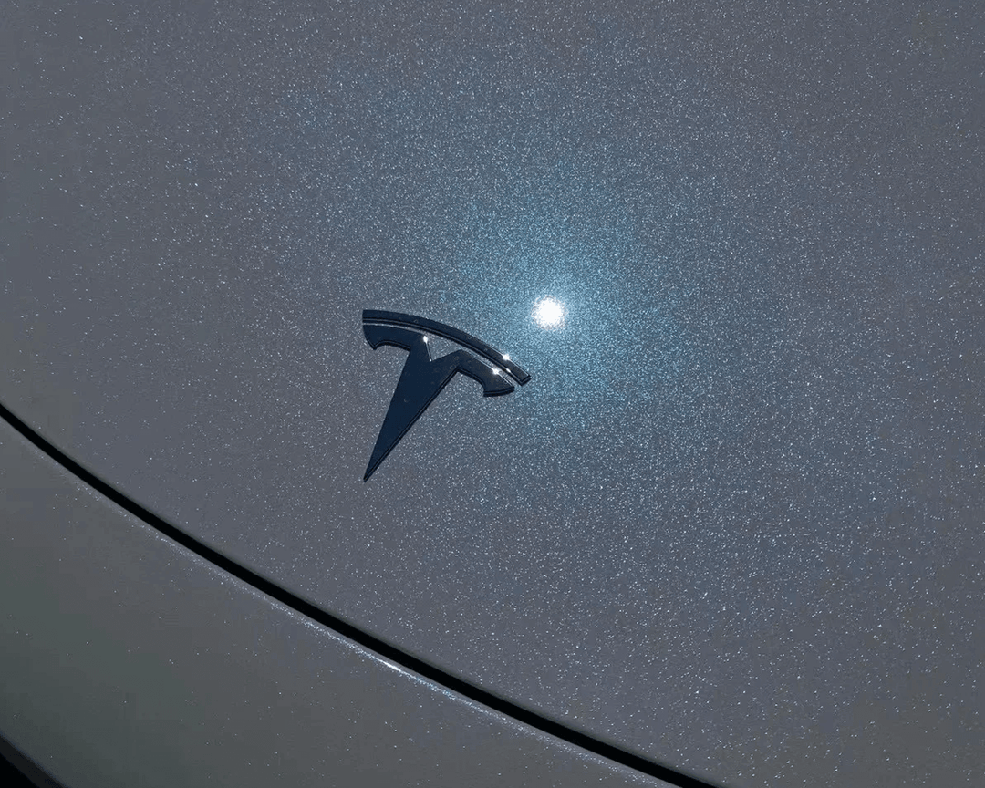 white blue chameleon wrap